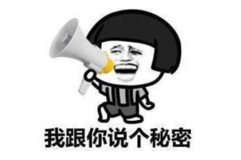 全椒债务清欠服务